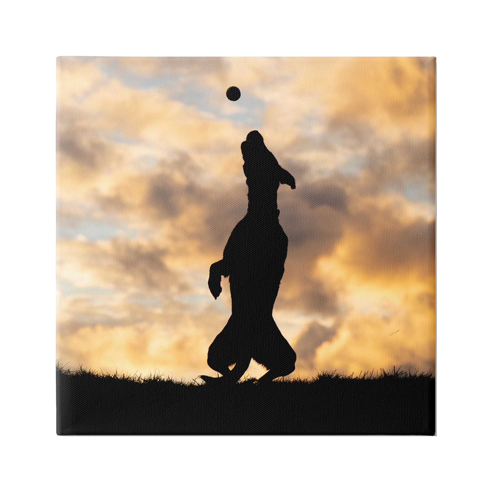 Stupell Industries Dog Playing Sunset Silhouette Animals & Insects Photography Gallery Wrapped Canvas Art Print Wall Art, 36 x 36