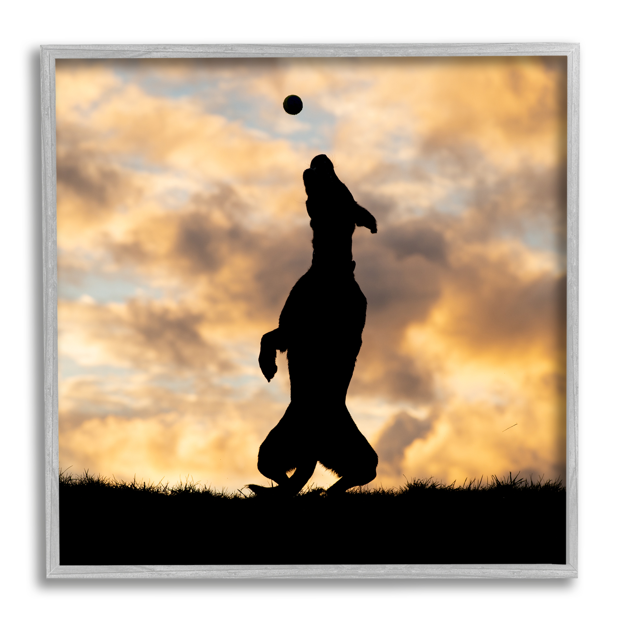 Stupell Industries Dog Playing Sunset Silhouette Animals & Insects Photography Gray Framed Art Print Wall Art, 12 x 12