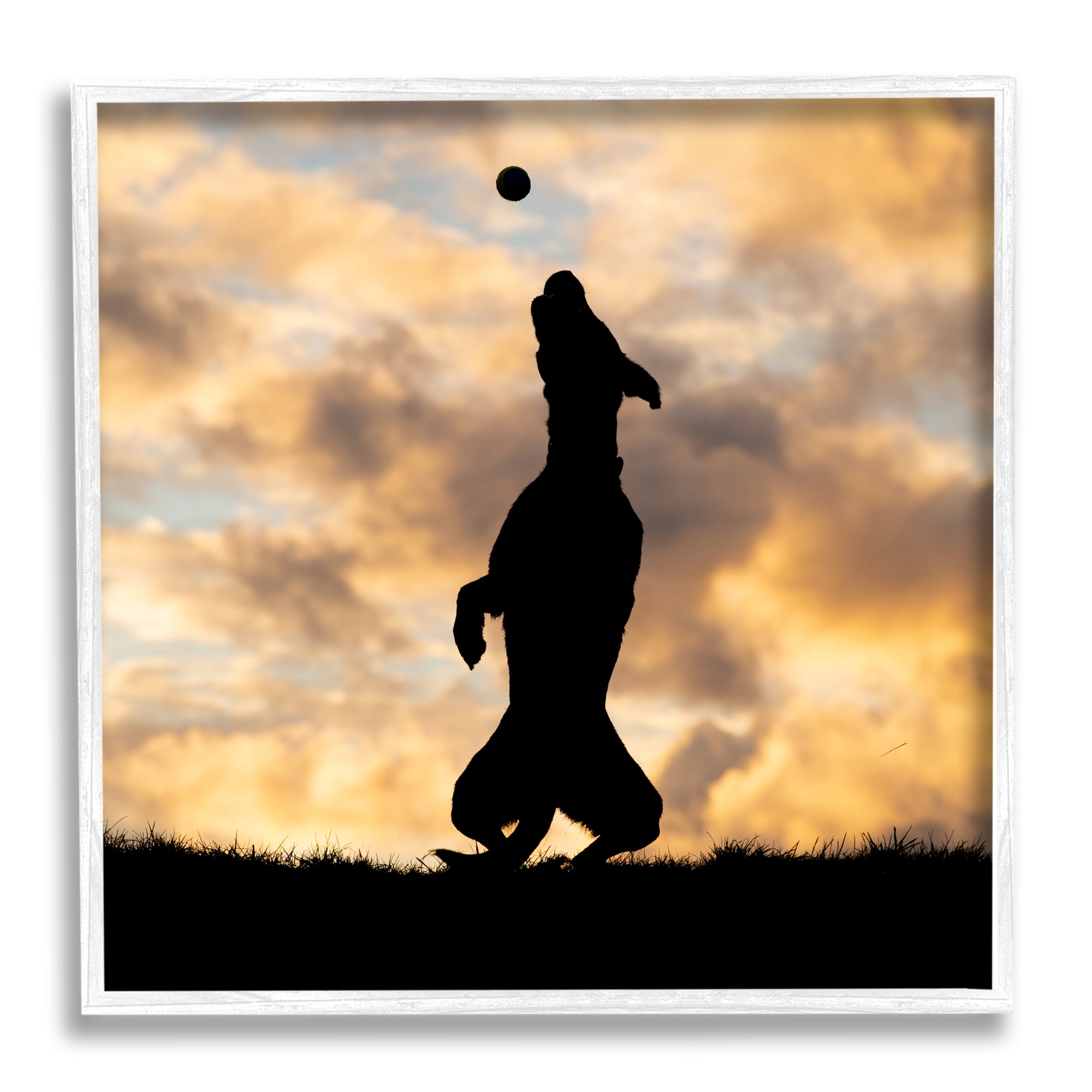 Stupell Industries Dog Playing Sunset Silhouette Animals & Insects Photography White Framed Art Print Wall Art, 12 x 12