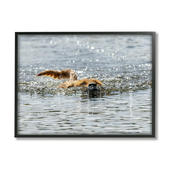 Stupell Industries Dog Swimming in Ocean Animals & Insects Photography Black Framed Art Print Wall Art, 14 x 11