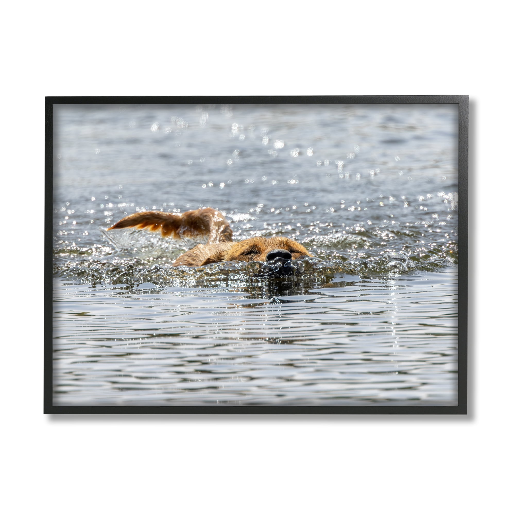 Stupell Industries Dog Swimming in Ocean Animals & Insects Photography Black Framed Art Print Wall Art, 20 x 16