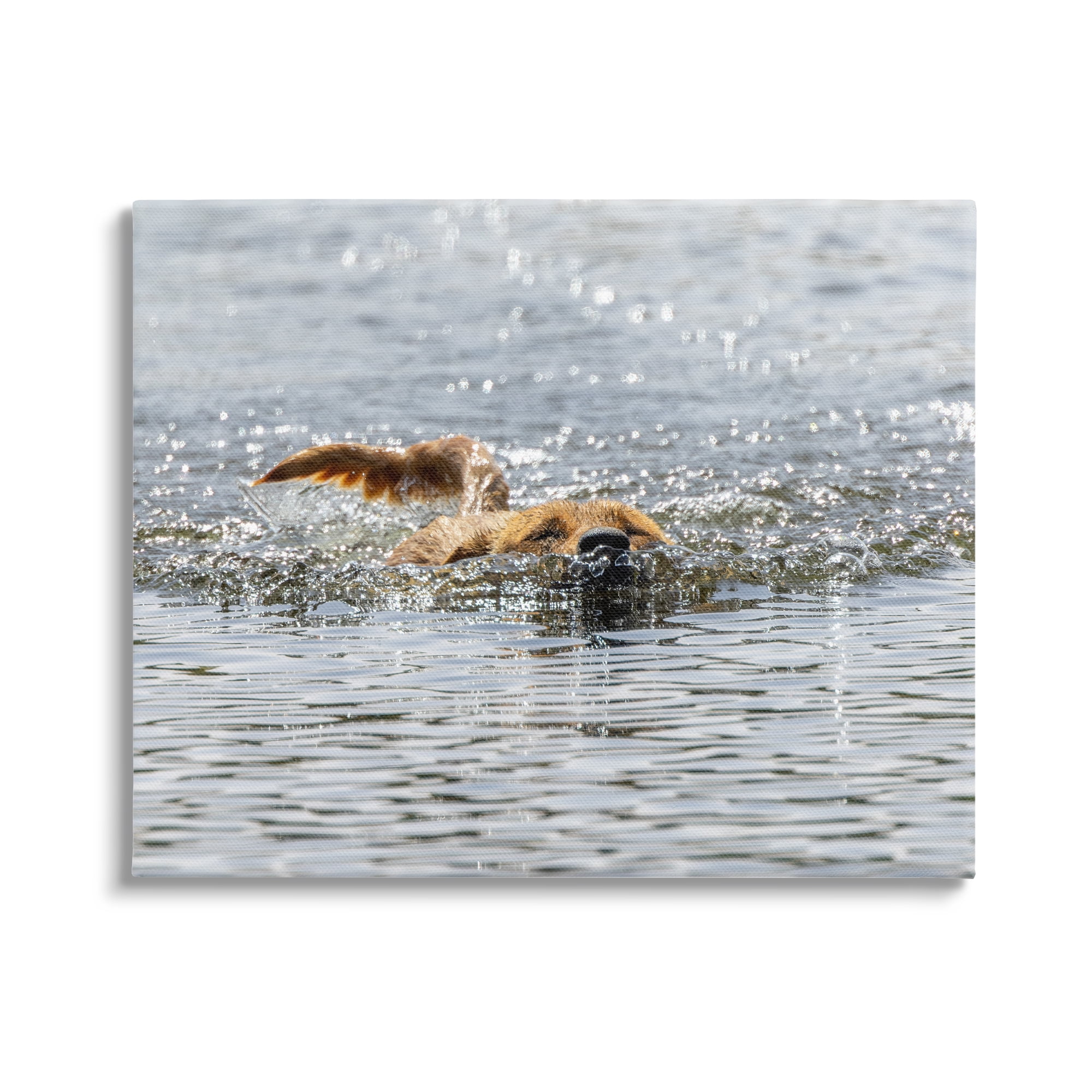 Stupell Industries Dog Swimming in Ocean Animals & Insects Photography Gallery Wrapped Canvas Art Print Wall Art, 30 x 24