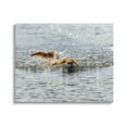 thumbnail image 1 of Stupell Industries Dog Swimming in Ocean Animals & Insects Photography Gallery Wrapped Canvas Art Print Wall Art, 40 x 30, 1 of 8