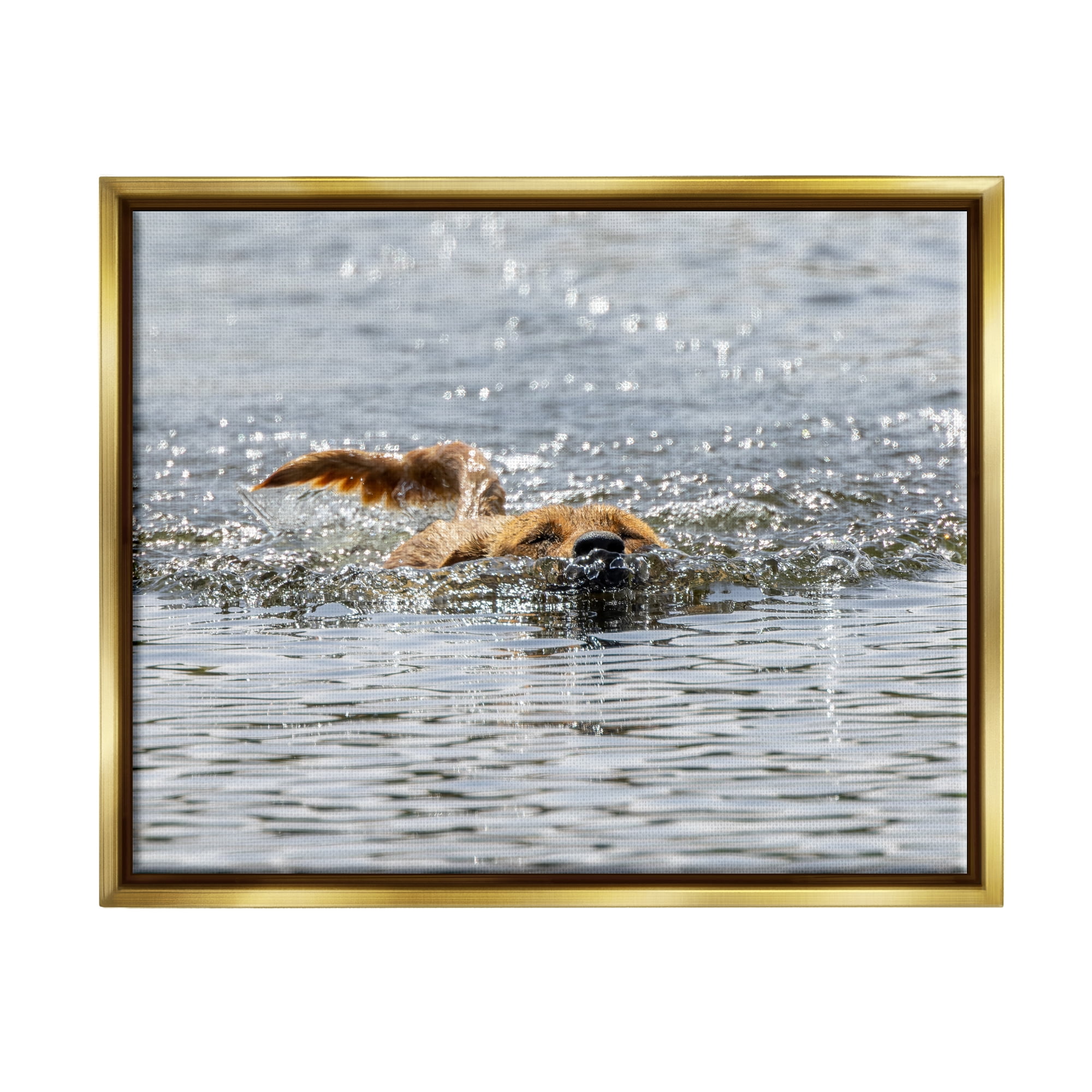 Stupell Industries Dog Swimming in Ocean Animals & Insects Photography Gold Floater Framed Canvas Art Print Wall Art, 21 x 17