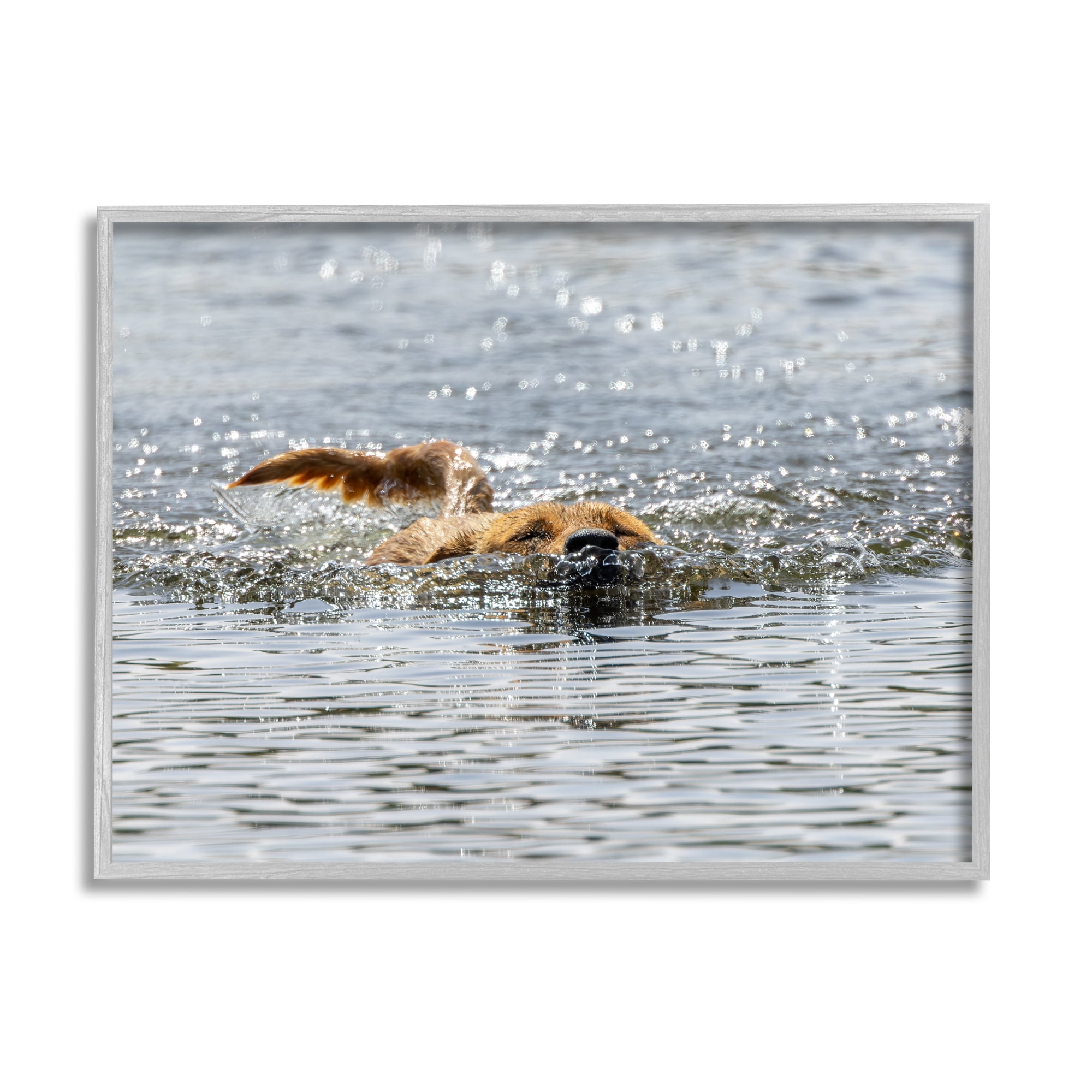 Stupell Industries Dog Swimming in Ocean Animals & Insects Photography Gray Framed Art Print Wall Art, 30 x 24