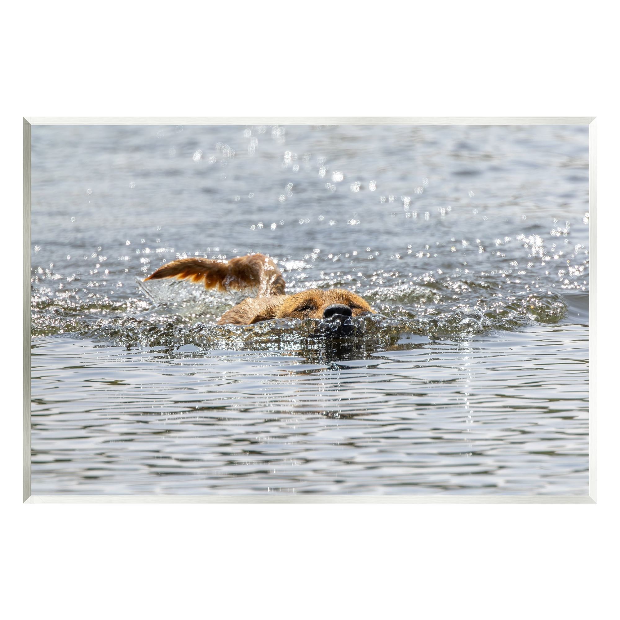 Stupell Industries Dog Swimming in Ocean Animals & Insects Photography Unframed Art Print Wall Art, 15 x 10