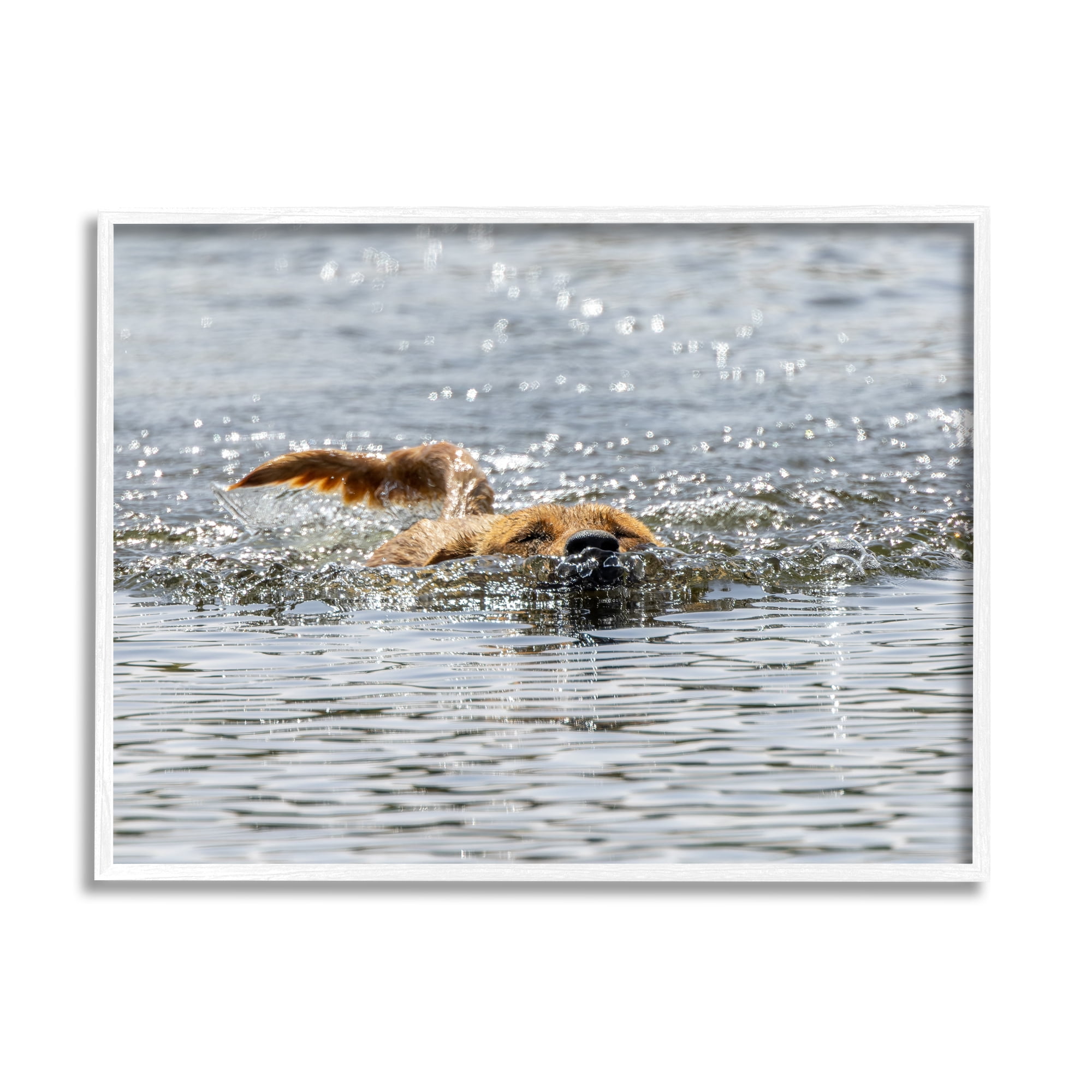 Stupell Industries Dog Swimming in Ocean Animals & Insects Photography White Framed Art Print Wall Art, 30 x 24