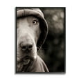 thumbnail image 1 of Stupell Industries Dog Wearing Hooded Sweater Close-Up Monochrome Photography Photograph Black Framed Art Print Wall Art, Design by Michael Brian, 1 of 5