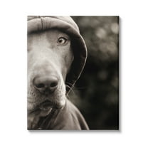 Stupell Industries Dog Wearing Hooded Sweater Close-Up Monochrome Photography Photograph Gallery Wrapped Canvas Print Wall Art, Design by Michael Brian