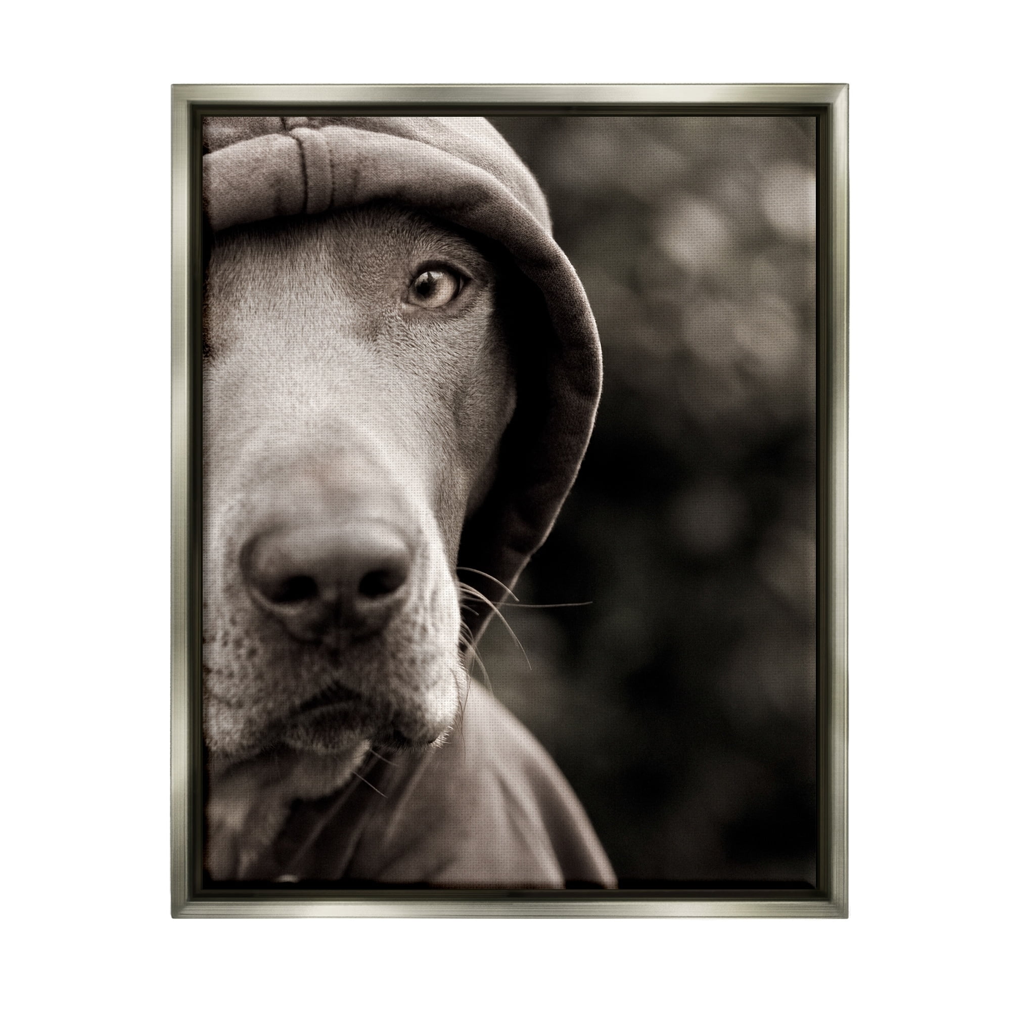 Stupell Industries Dog Wearing Hooded Sweater Close-Up Monochrome Photography Photograph Luster Gray Floating Framed Canvas Print Wall Art, Design by Michael Brian