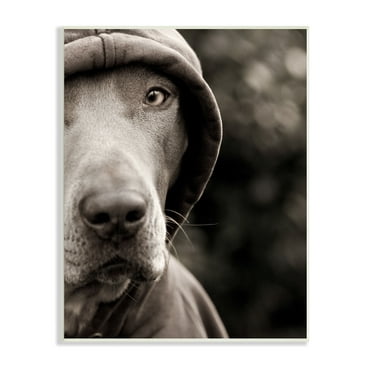 Stupell Industries Dog Wearing Hooded Sweater Close-Up Monochrome Photography Photograph Unframed Art Print Wall Art, Design by Michael Brian
