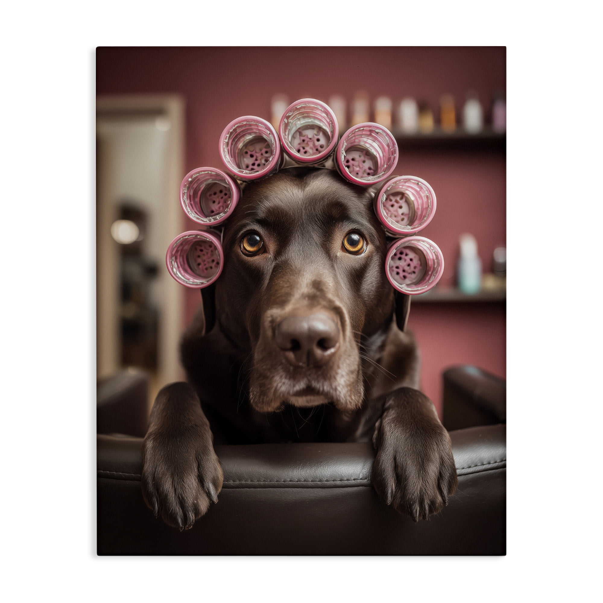 Stupell Industries Dog at Salon with Curlers Canvas Wall Art, design by Scott Stulberg
