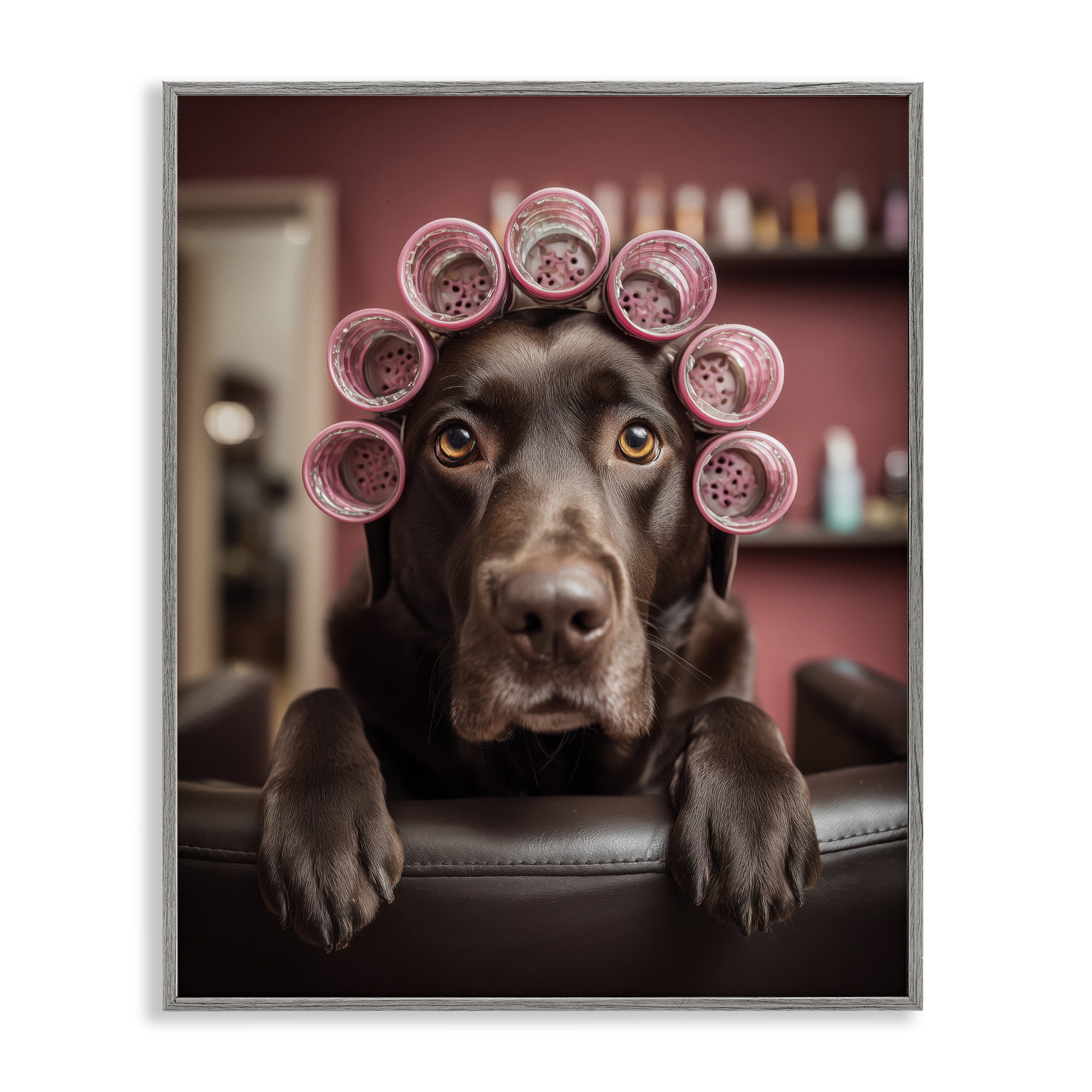 Stupell Industries Dog at Salon with Curlers Gray Framed Giclee Art, design by Scott Stulberg