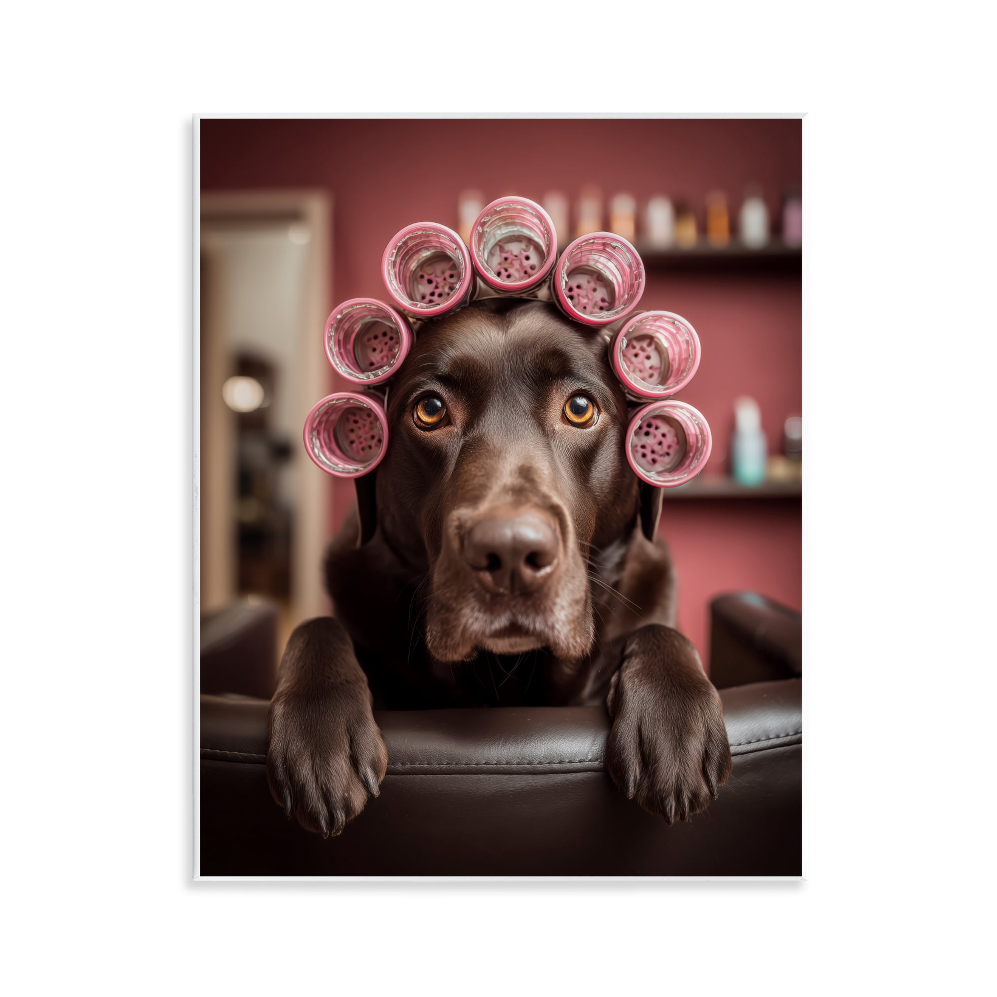 Stupell Industries Dog at Salon with Curlers Wall Plaque Art, design by Scott Stulberg