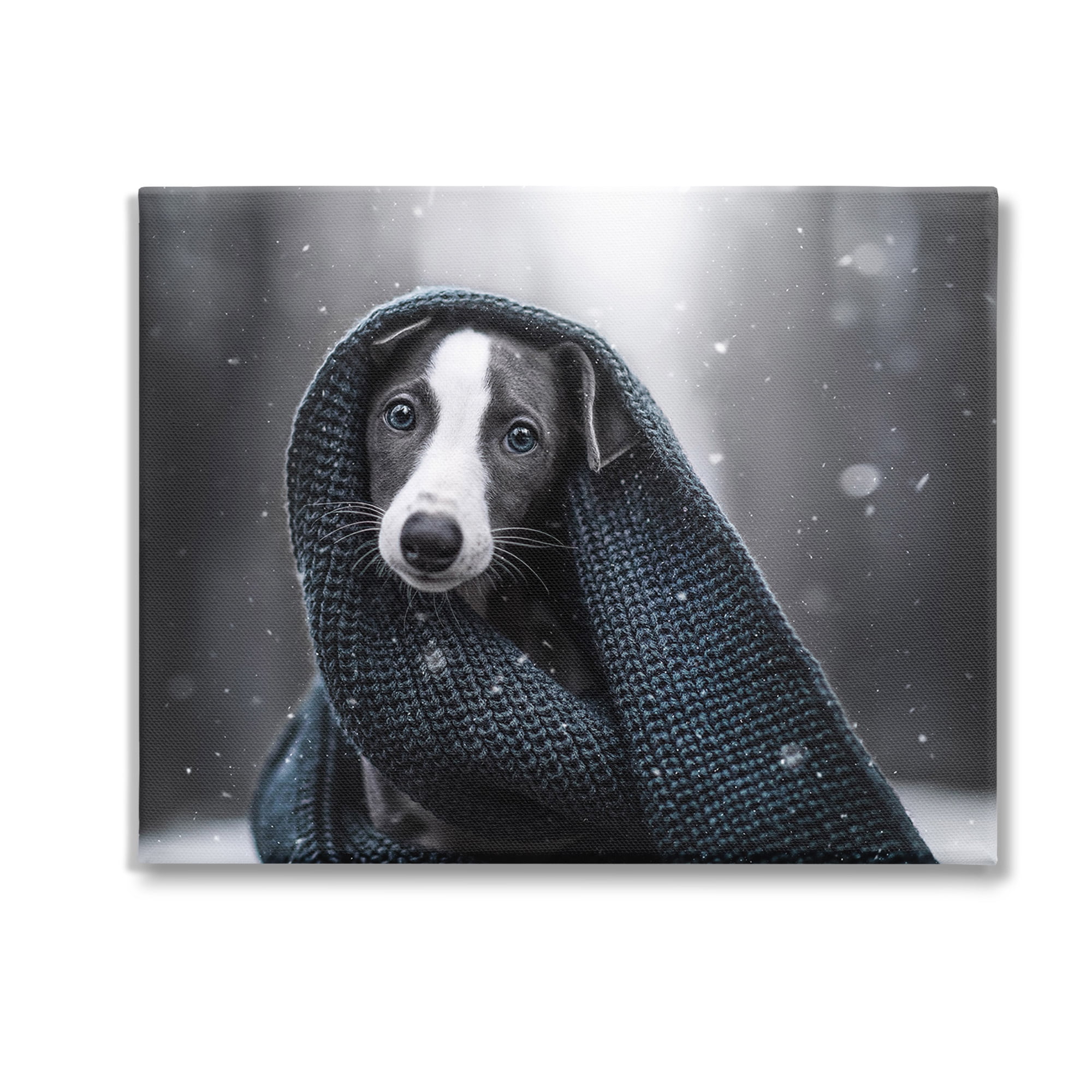 Stupell Industries Dog with Winter Scarf Animals & Insects Painting Gallery Wrapped Canvas Art Print Wall Art, 30 x 24