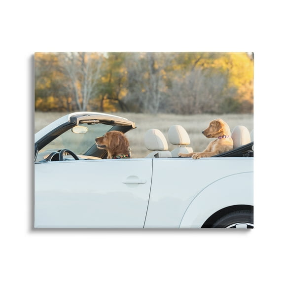 Stupell Industries Dogs Driving Convertible Animals & Insects Photography Gallery Wrapped Canvas Art Print Wall Art, 20 x 16