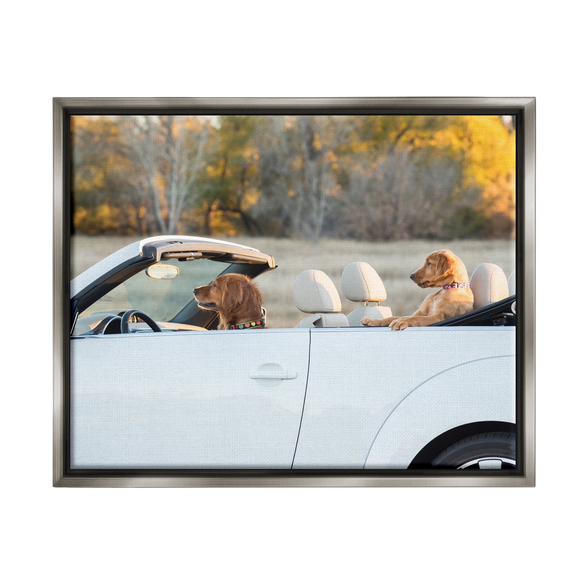 Stupell Industries Dogs Driving Convertible Animals & Insects Photography Gray Floater Framed Canvas Art Print Wall Art, 21 x 17