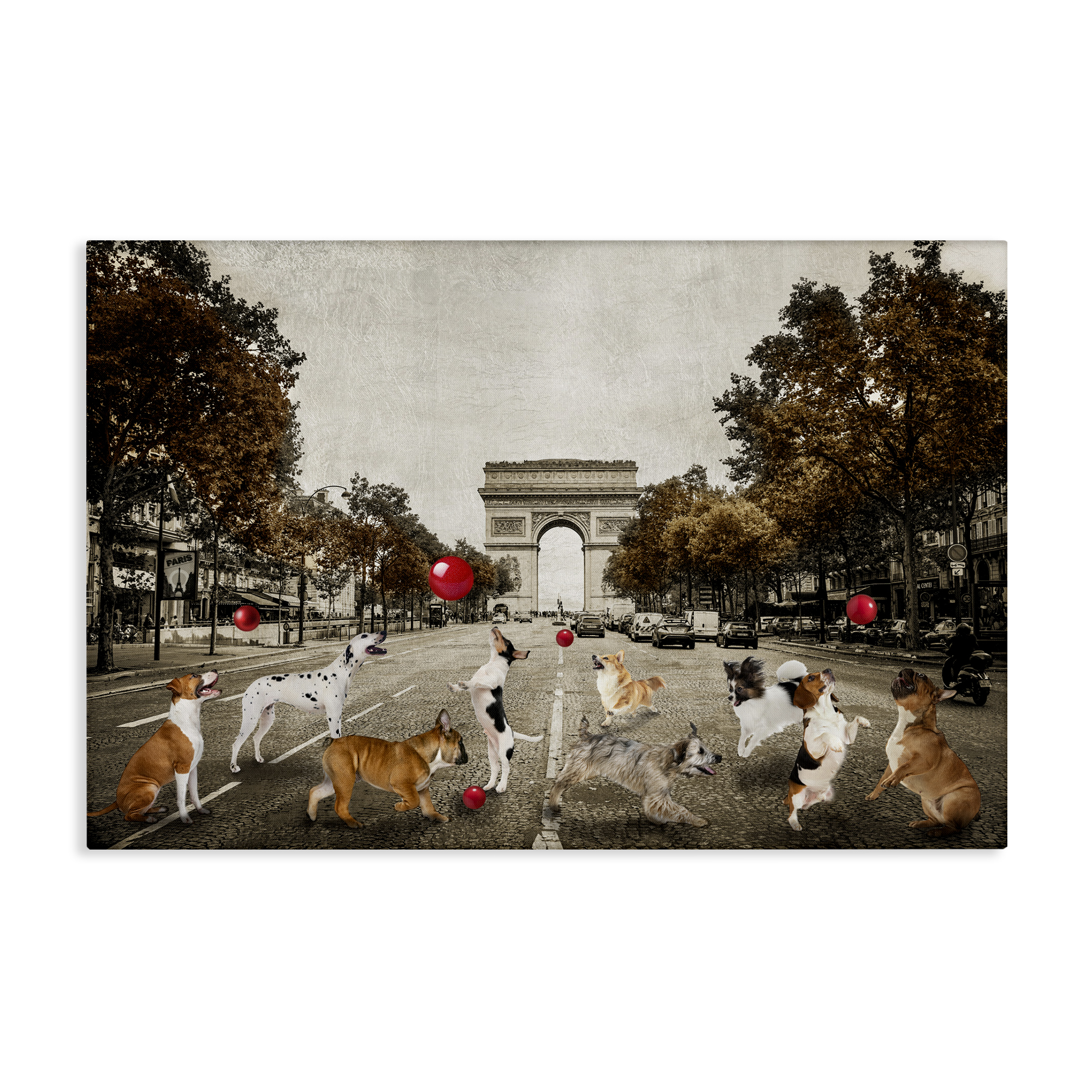 Stupell Industries Dogs Playing Among Architecture Animals & Insects Painting Gallery Wrapped Canvas Art Print Wall Art, 30 x 20