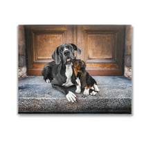 Stupell Industries Dogs on Doorstep Animals & Insects Painting Gallery Wrapped Canvas Art Print Wall Art, 20 x 16
