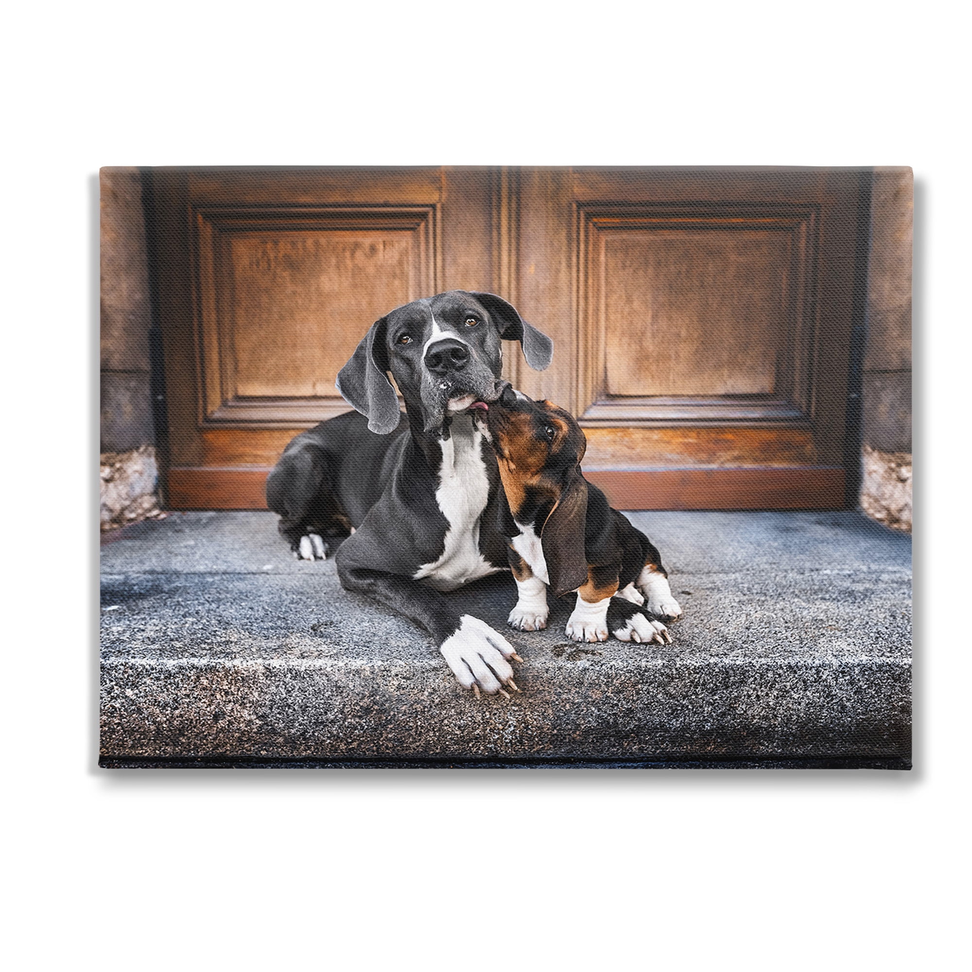 Stupell Industries Dogs on Doorstep Animals & Insects Painting Gallery Wrapped Canvas Art Print Wall Art, 48 x 36