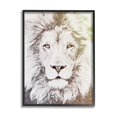 thumbnail image 1 of Stupell Industries Dominant Lion Portrait Text Word Pattern Animal Mane, 11 x 14, Design by Paula Belle Flores, 1 of 5