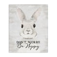 thumbnail image 1 of Don't Worry Be Hoppy Easter Bunny Rabbit Pun Canvas Art, 36 x 48, By Lettered and Lined, 1 of 6