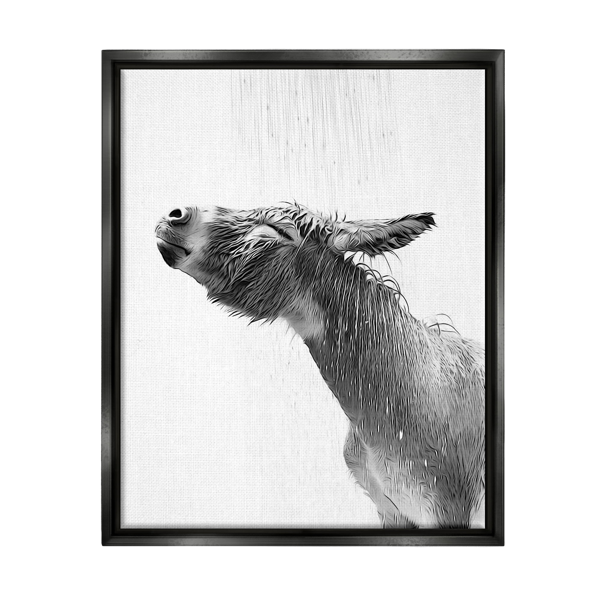 Stupell Industries Donkey Bathroom Splash Animals & Insects Painting Black Floater Framed Canvas Art Print Wall Art, 25 x 31