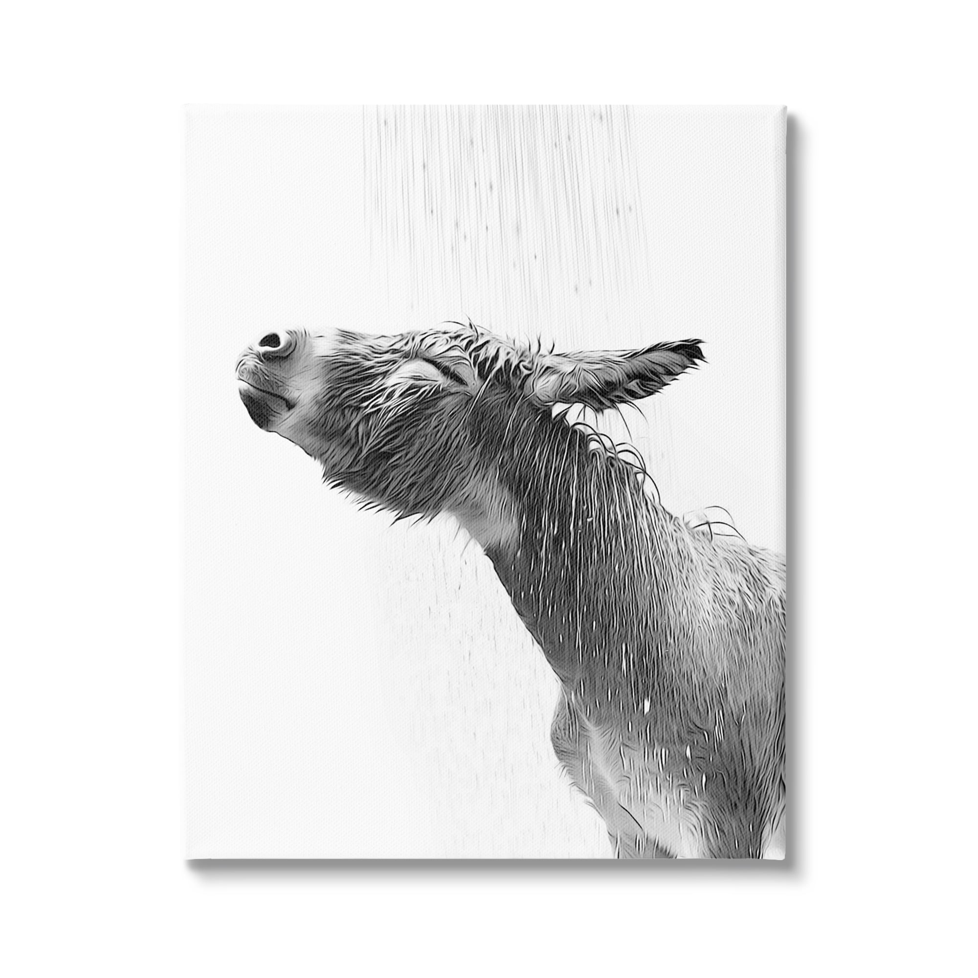 Stupell Industries Donkey Bathroom Splash Animals & Insects Painting Gallery Wrapped Canvas Art Print Wall Art, 16 x 20