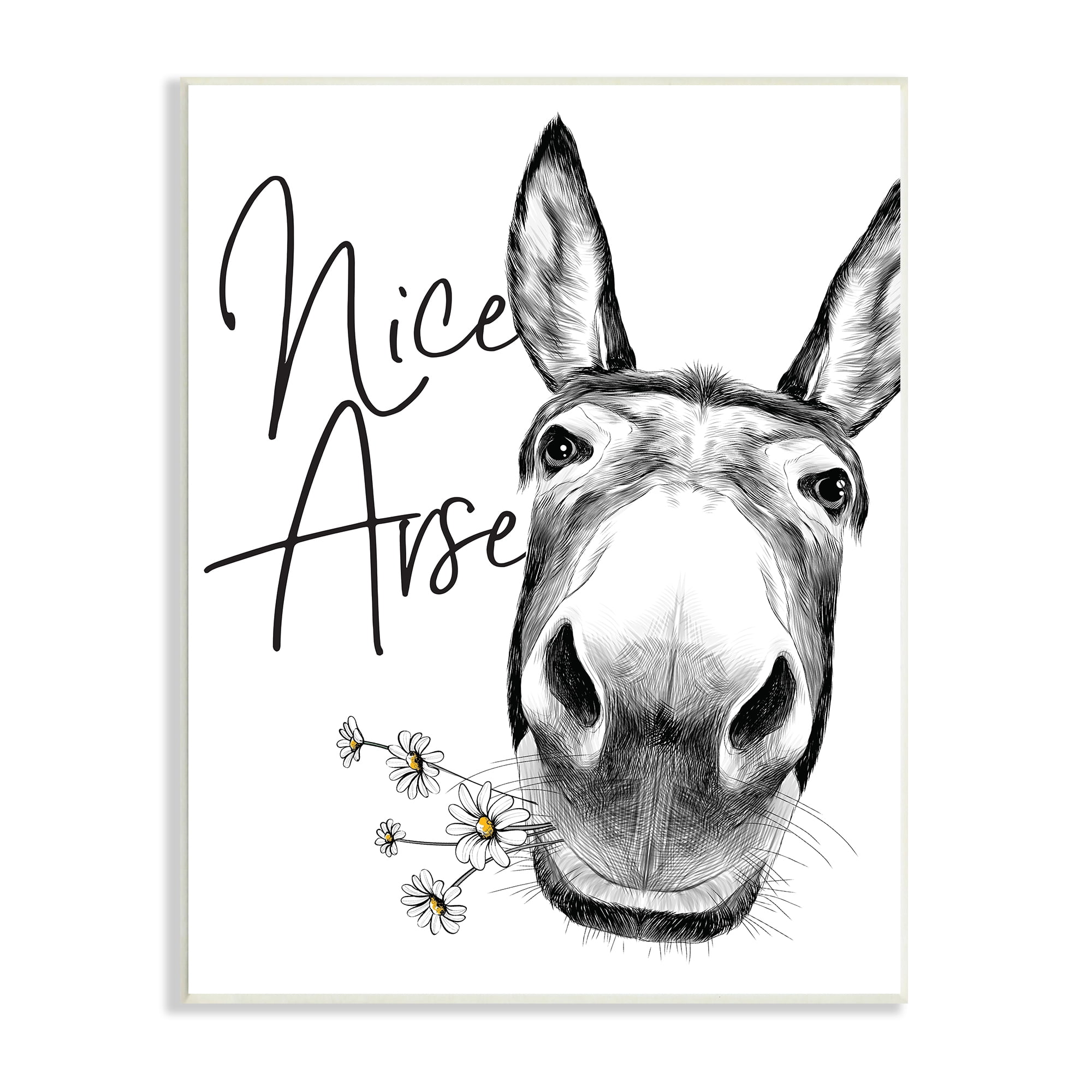 Stupell Industries Donkey Portrait Nice Arse Animal Pun Daisey Florals, 10 x 15, Designed by Lettered and Lined