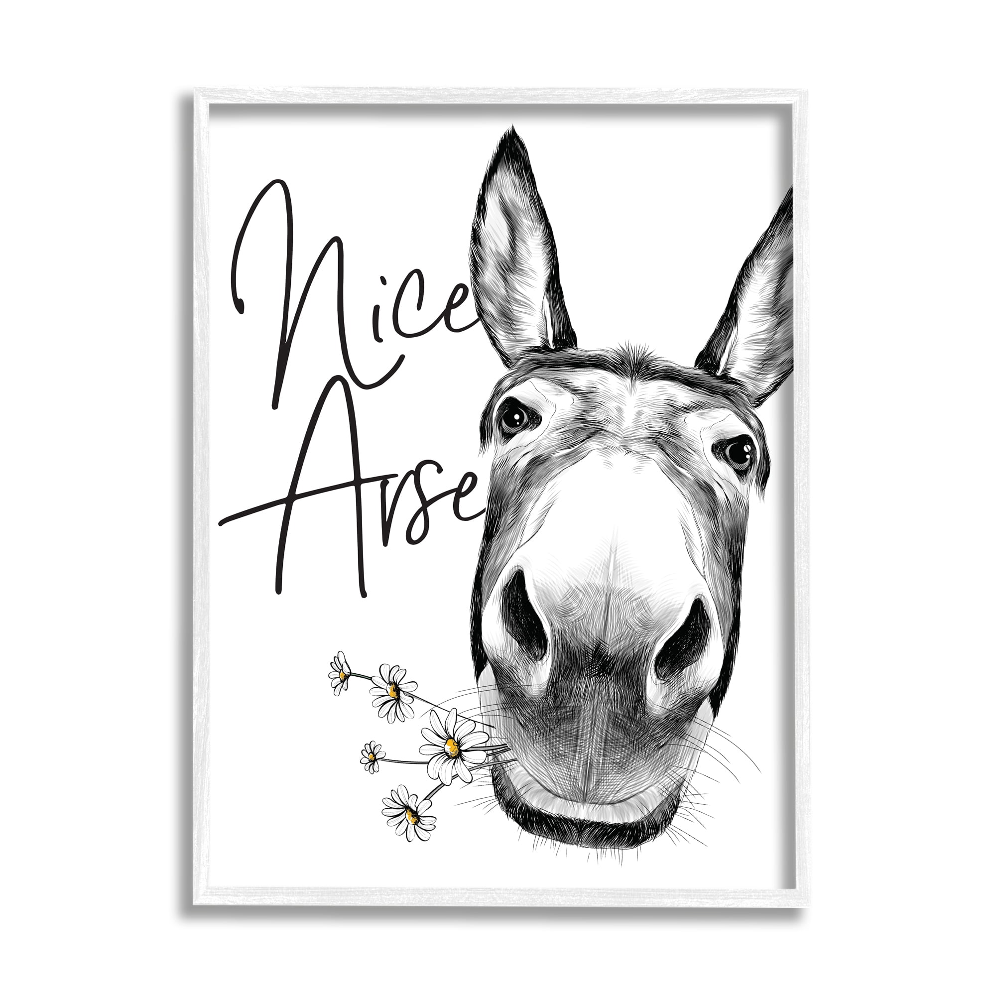 Stupell Industries Donkey Portrait Nice Arse Animal Pun Daisey Florals, 11 x 14, Designed by Lettered and Lined
