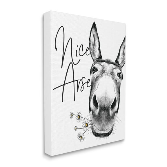 Stupell Industries Donkey Portrait Nice Arse Animal Pun Daisey Florals, 16 x 20, Designed by Lettered and Lined