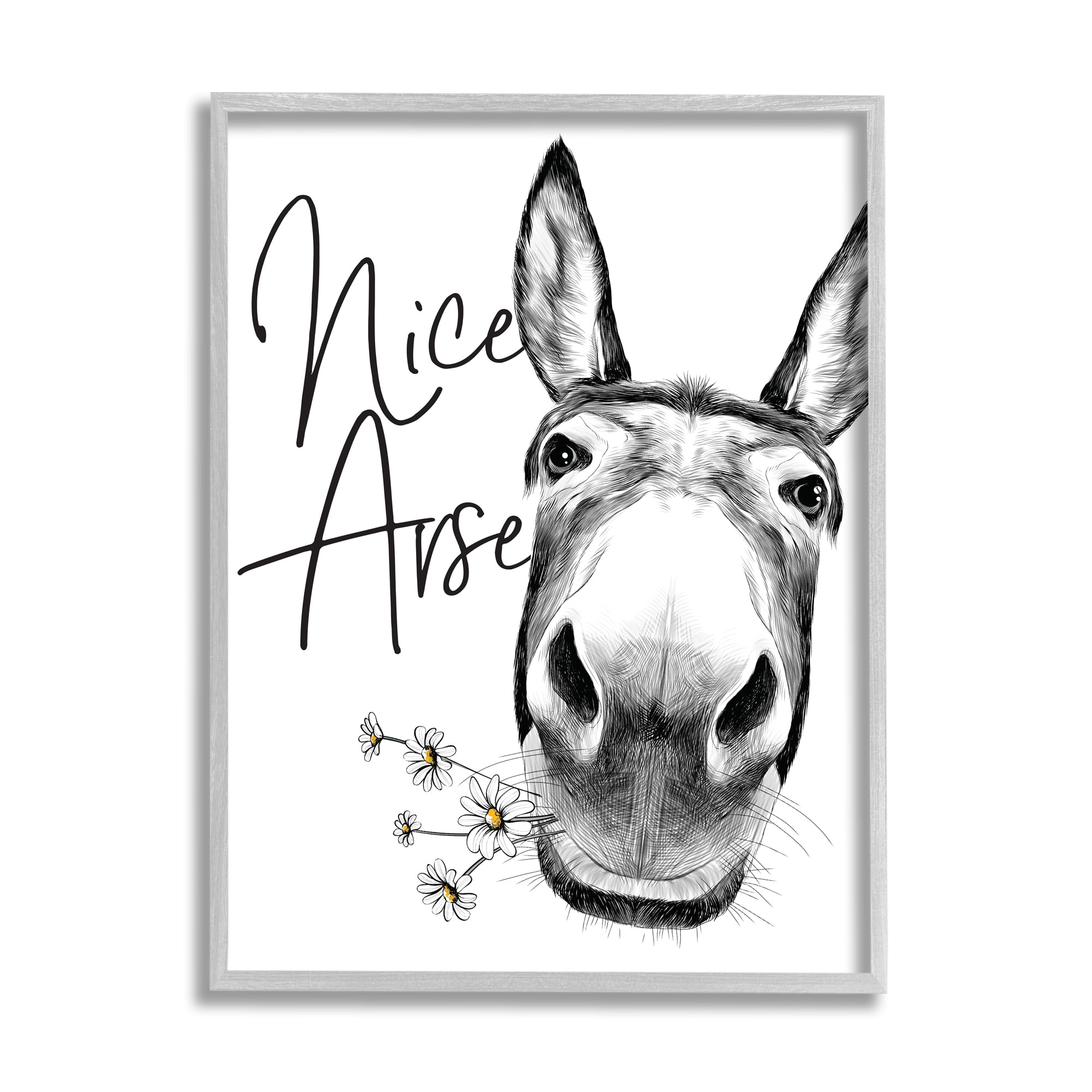 Stupell Industries Donkey Portrait Nice Arse Animal Pun Daisey Florals, 24 x 30, Designed by Lettered and Lined