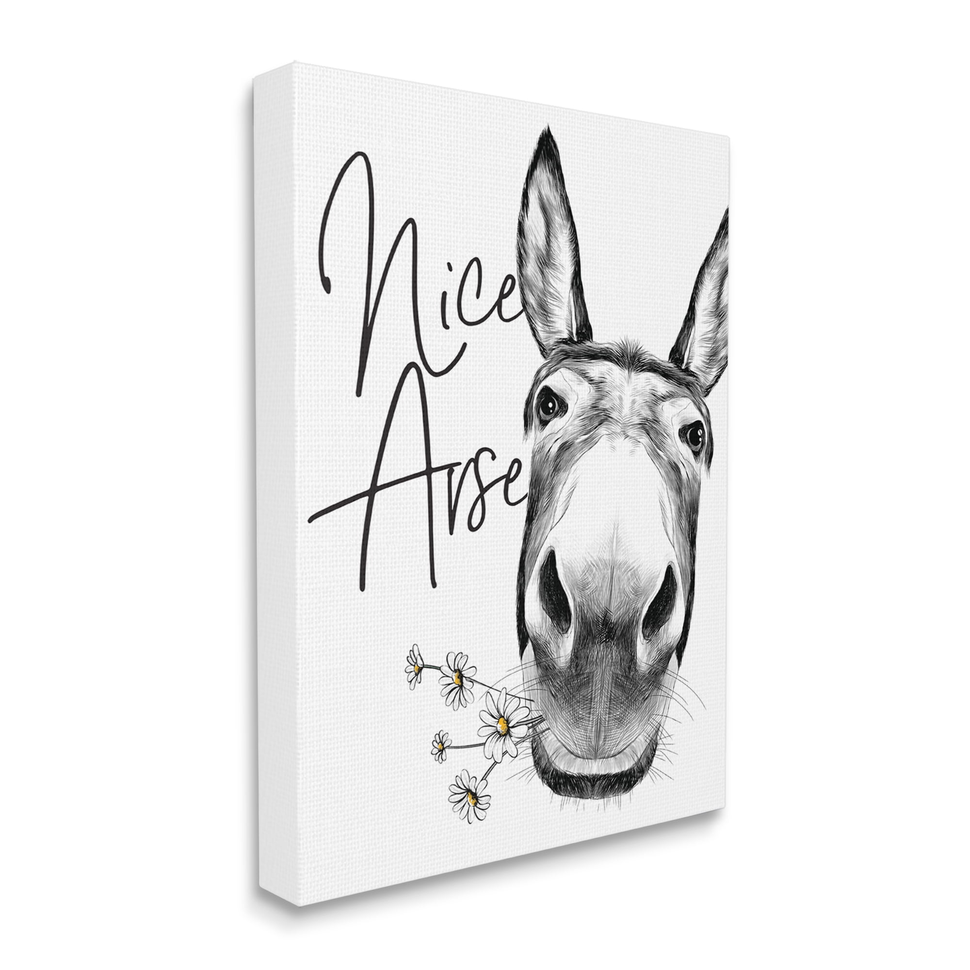 Stupell Industries Donkey Portrait Nice Arse Animal Pun Daisey Florals, 30 x 40, Designed by Lettered and Lined