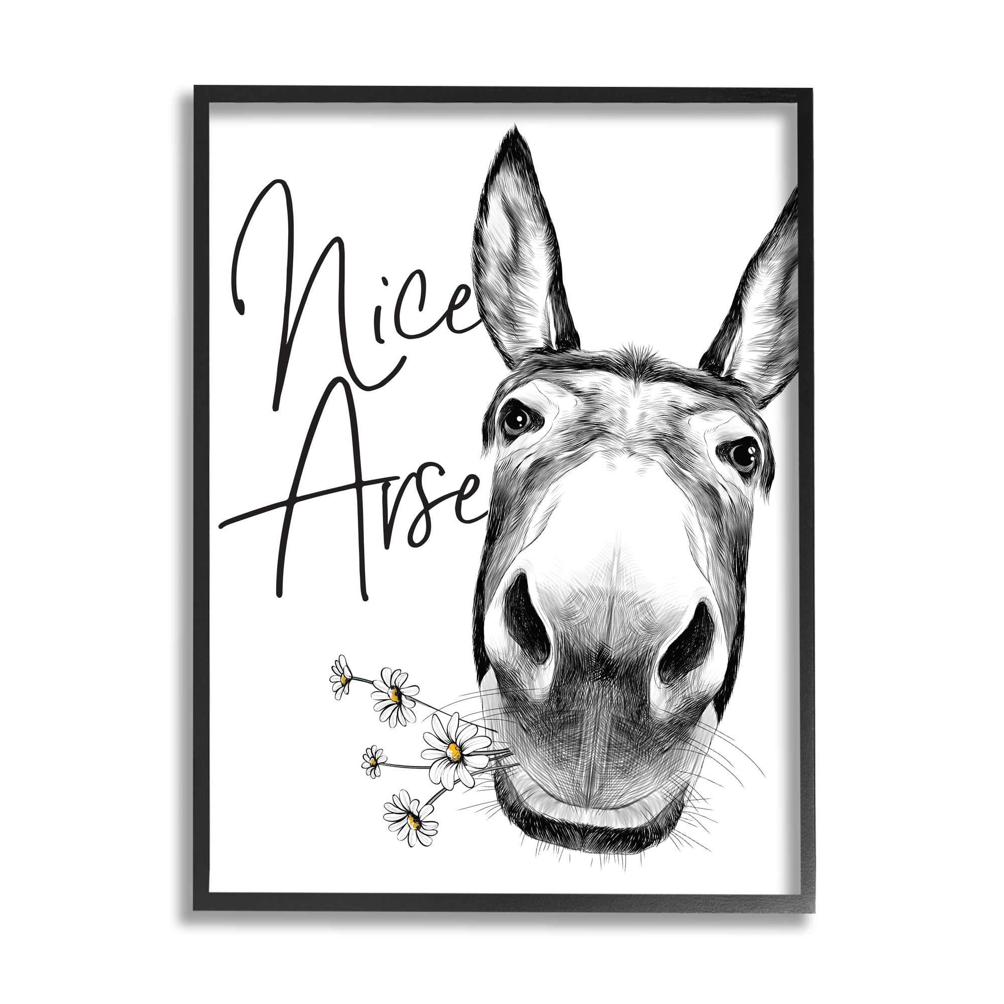 Stupell Industries Donkey Portrait Nice Arse Animal Pun Daisey Florals Novelty Painting Black Framed Art Print Wall Art, 24 x 30, Design by Lettered and Lined