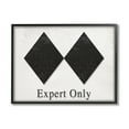 thumbnail image 1 of Stupell Industries Double Black Diamond Ski Sport Symbol Experts Only, 20 x 16, Design by Daphne Polselli, 1 of 7