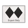 thumbnail image 1 of Stupell Industries Double Black Diamond Ski Sport Symbol Experts Only, 20 x 16, Design by Daphne Polselli, 1 of 7