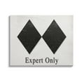 thumbnail image 1 of Stupell Industries Double Black Diamond Ski Sport Symbol Experts Only, 30 x 24, Design by Daphne Polselli, 1 of 6