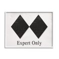thumbnail image 1 of Stupell Industries Double Black Diamond Ski Sport Symbol Experts Only, 30 x 24, Design by Daphne Polselli, 1 of 7