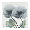 thumbnail image 1 of Stupell Industries Double Modern Flower Blossoms Floral Photography Wrapped Canvas Canvas Art Print Wall Art, 24 x 24, 1 of 7