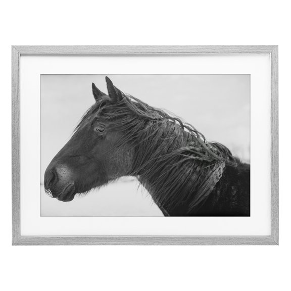Stupell Industries Draisma Winter Herd Portrait Gray Framed Print Under Glass design by Amy Carroll, 17 x 23