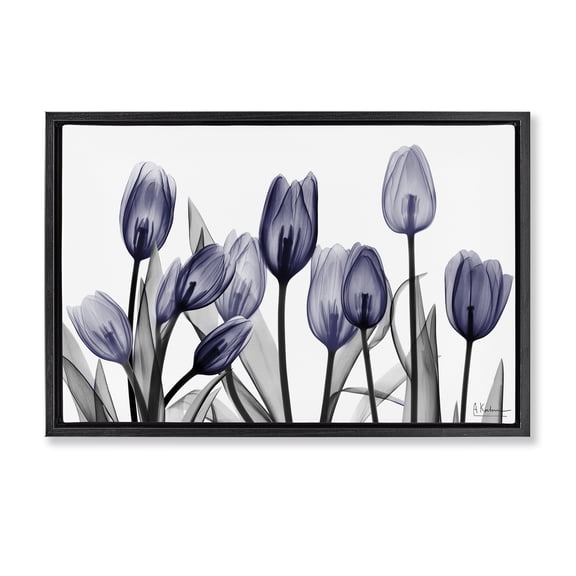 Stupell Industries Contemporary Dramatic Dusk Blue Tulips Black Floating Frame Canvas Art, 31 x 21, by Albert Koetsier