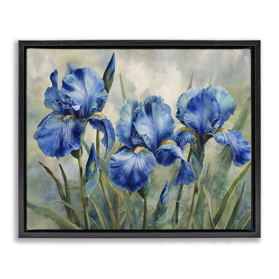 Stupell Industries French Country Drawn Blue Iris Flowers Black Floating Frame Canvas Art, 21 x 17, by Franklyn Gregory