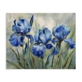 thumbnail image 1 of Stupell Industries French Country Drawn Blue Iris Flowers Canvas Art, 20 x 16, by Franklyn Gregory, 1 of 8