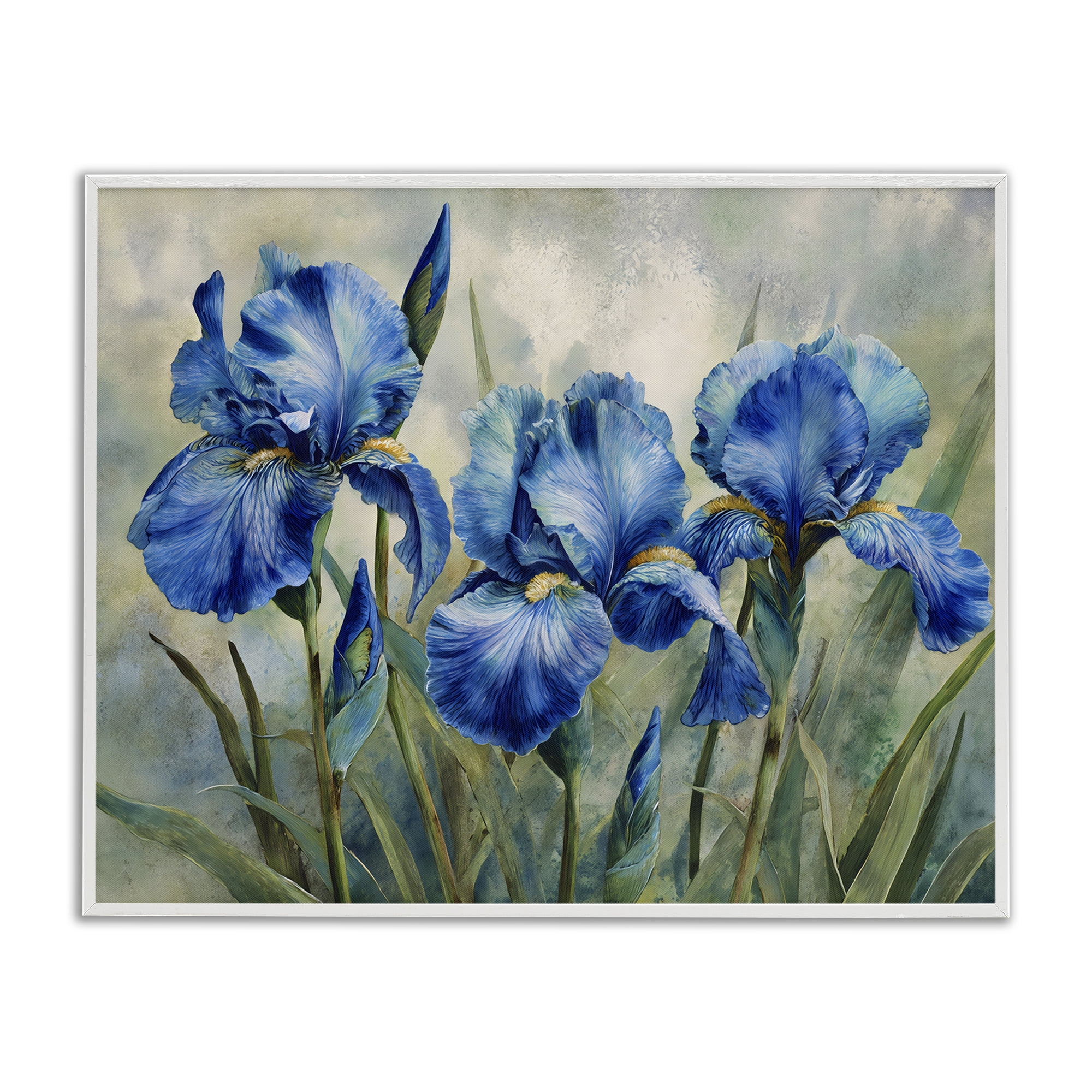 Stupell Industries Drawn Blue Iris Flowers White Framed Giclee Art, design by Franklyn Gregory