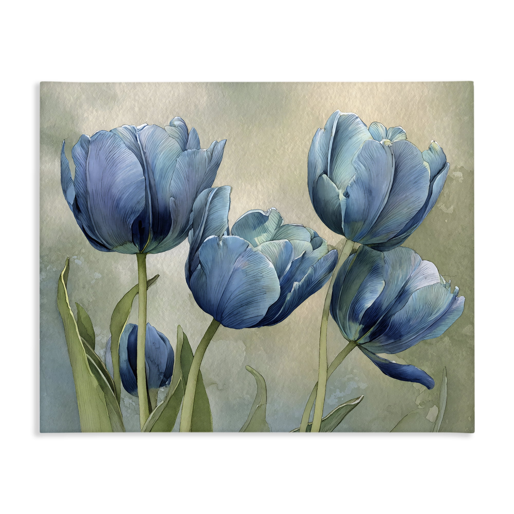 Stupell Industries Drawn Blue Tulip Flowers Canvas Wall Art, design by Franklyn Gregory