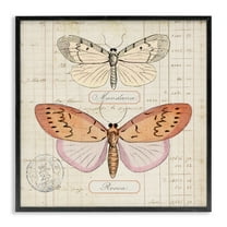 Stupell Industries Drawn Butterfly Studies Insects Painting Black Framed Art Print Wall Art, 12 x 12