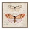thumbnail image 1 of Stupell Industries Victorian Drawn Butterfly Studies Brown Floating Frame Canvas Art, 18 x 18, by Susan Arnot, 1 of 8