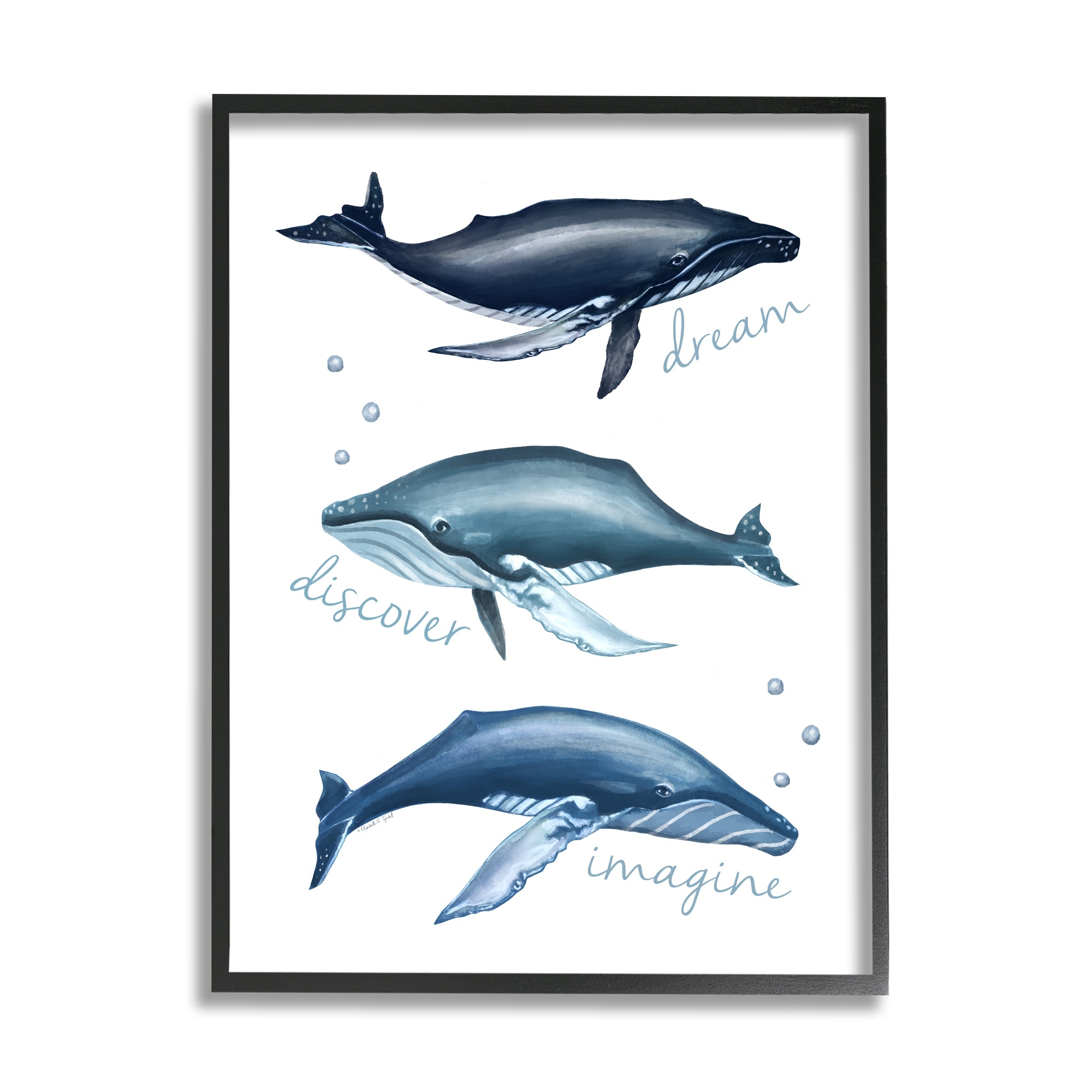Stupell Industries Dream Discover Imagine Inspirational Typography Nautical Whales Framed Wall Art, 11 x 14, Design by Elizabeth Tyndall