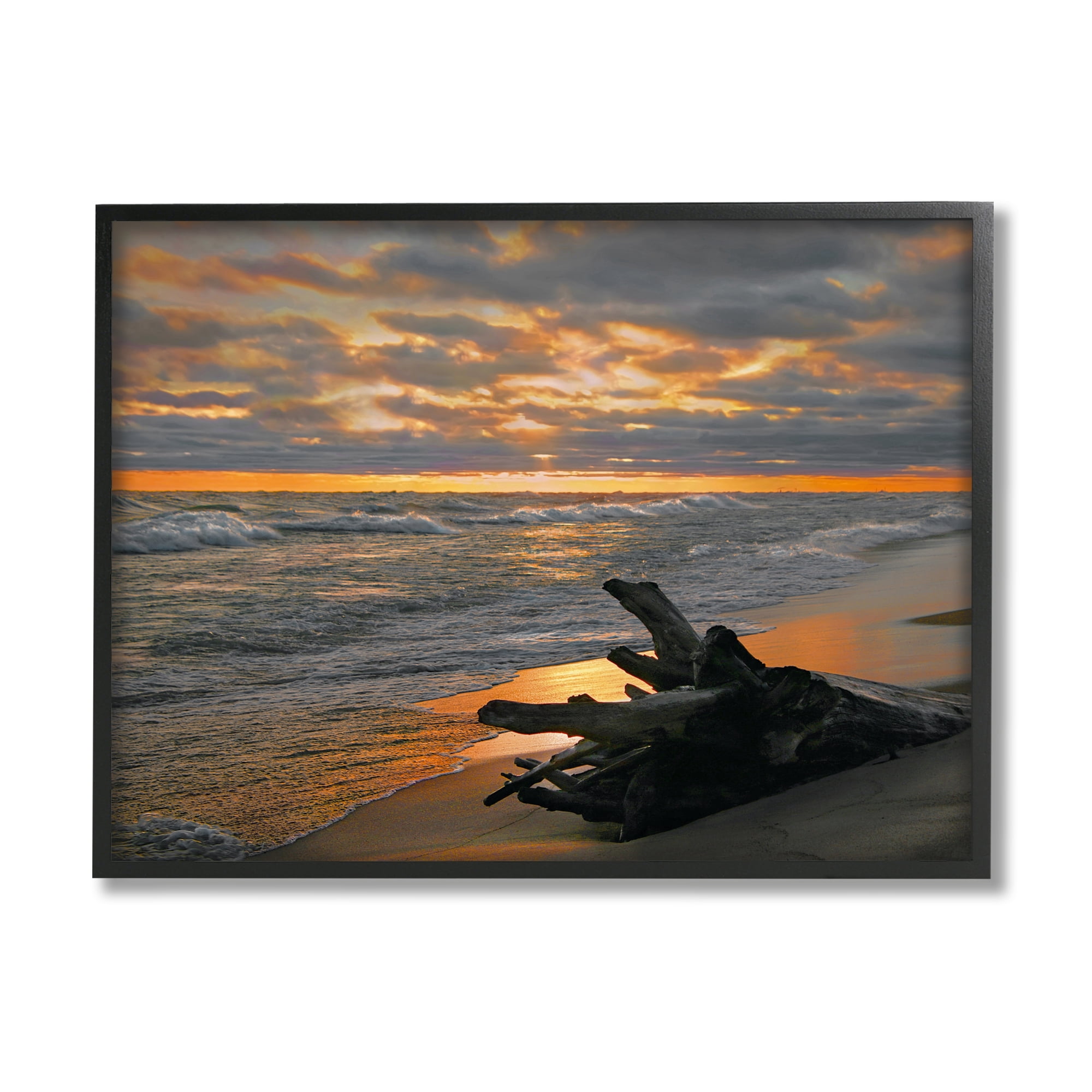 Stupell Industries Driftwood at Sunset Landscape Photography Black Framed Art Print Wall Art, 30 x 24