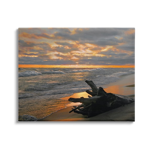 Stupell Industries Driftwood at Sunset Landscape Photography Gallery Wrapped Canvas Art Print Wall Art, 20 x 16